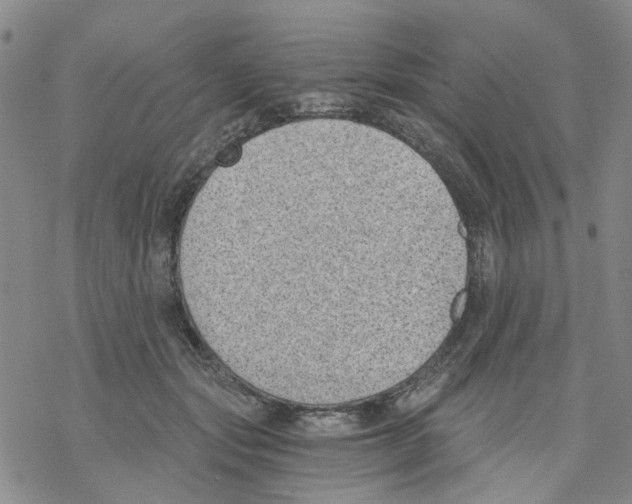 X0000068300557200605191946