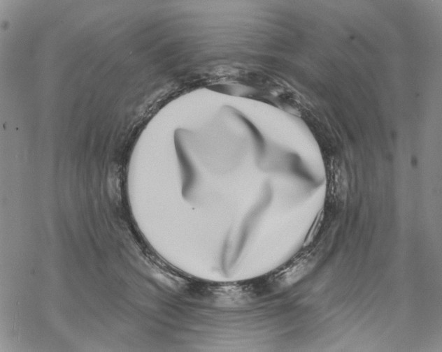 X0000068300562200605191946