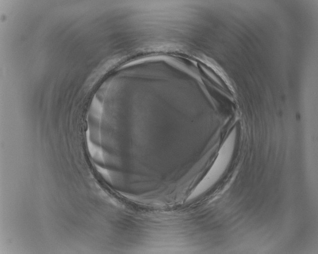 X0000068300577200605191945