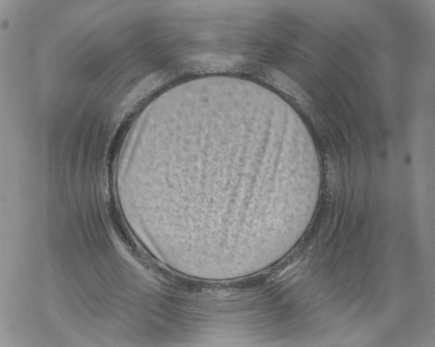 X0000068300582200605191945