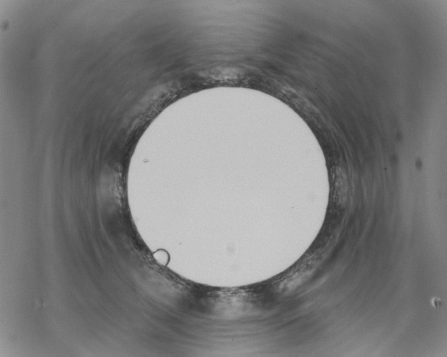 X0000068300612200605191945