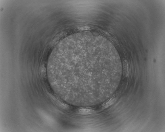 X0000068300614200605191945