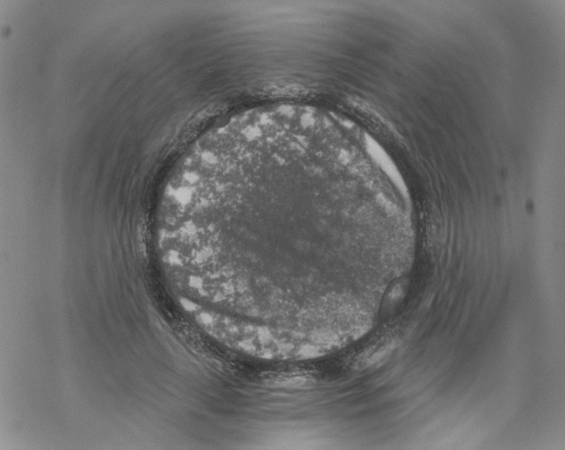 X0000068300643200605191944