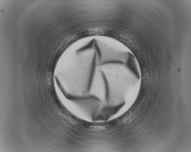 X0000068300649200605191944