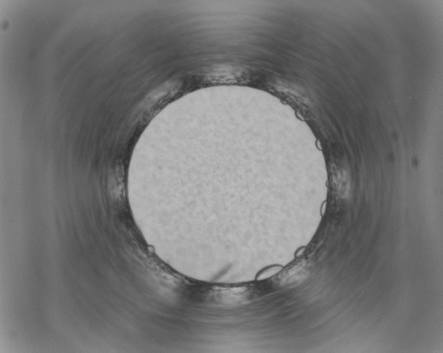 X0000068300665200605191944