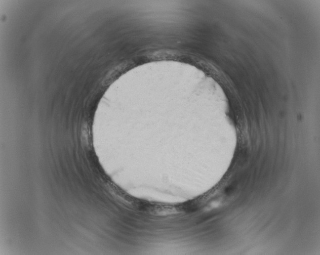 X0000068300669200605191944