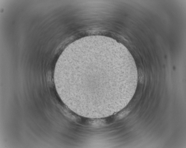 X0000068300670200605191944