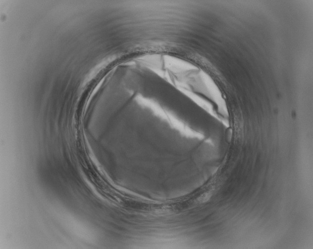 X0000068300674200605191944