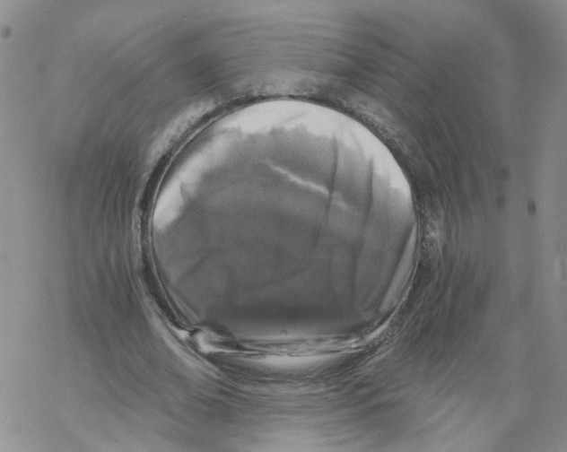 X0000068300678200605191944