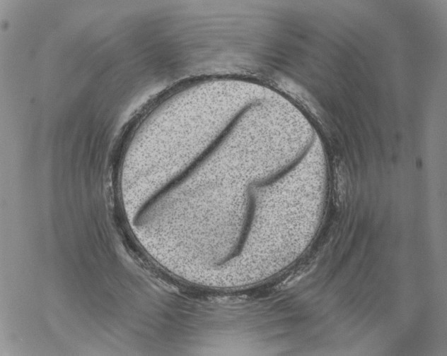 X0000068300680200605191944