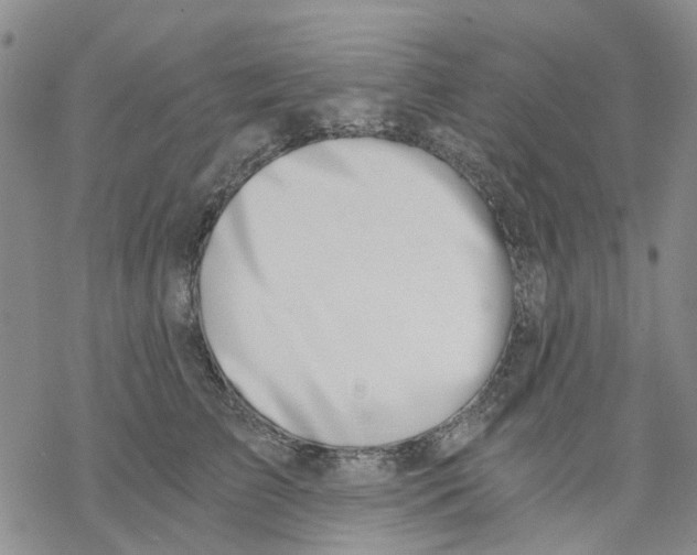X0000068300709200605191943