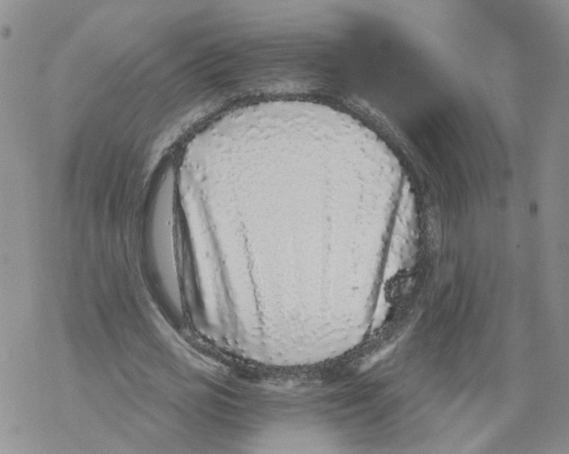 X0000068300725200605191942