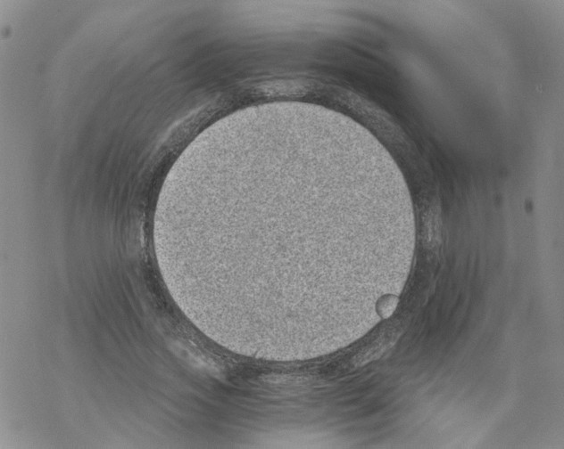X0000068300733200605191942