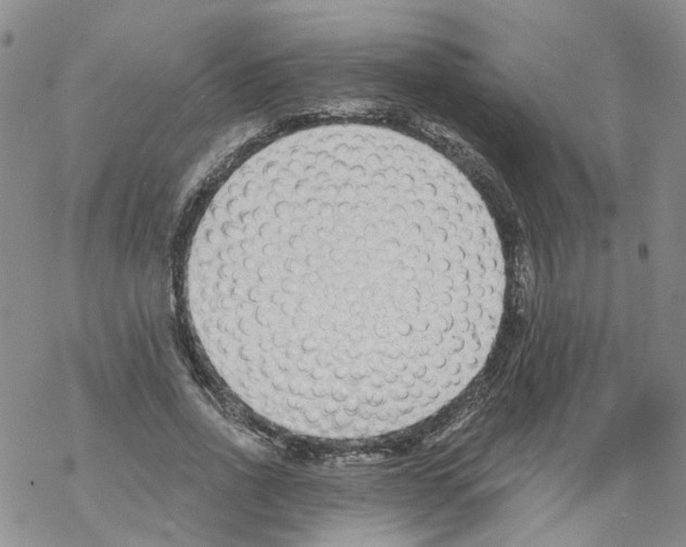 X0000068300734200605191942