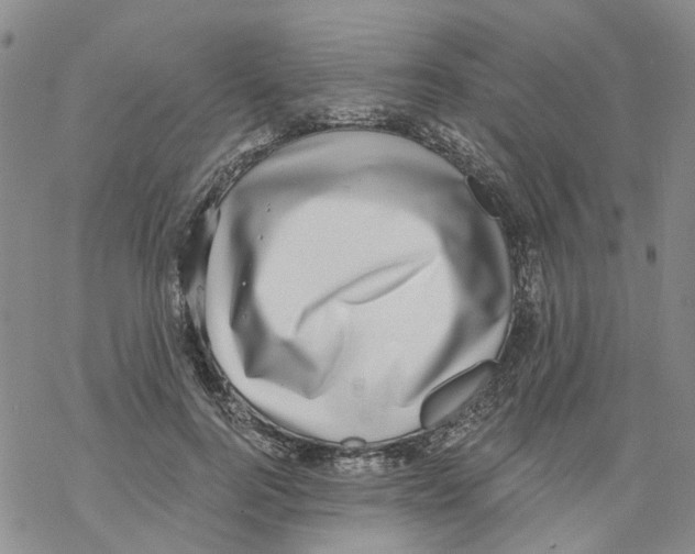 X0000068300744200605191943