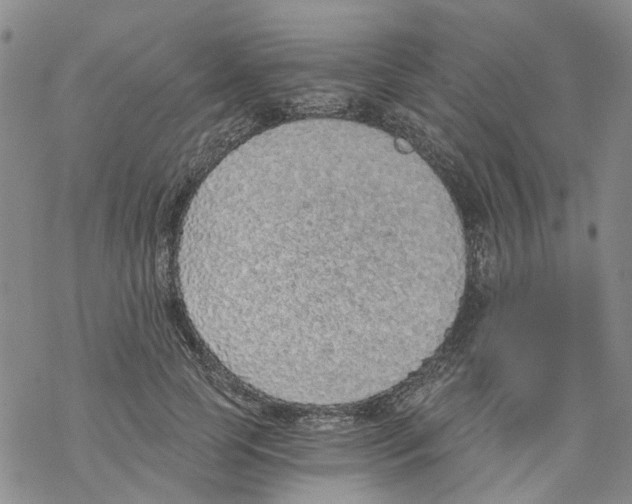 X0000068300745200605191943