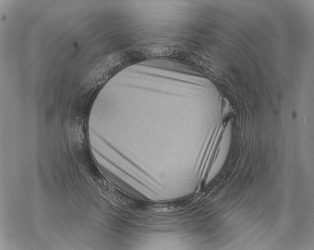 X0000068300746200605191943