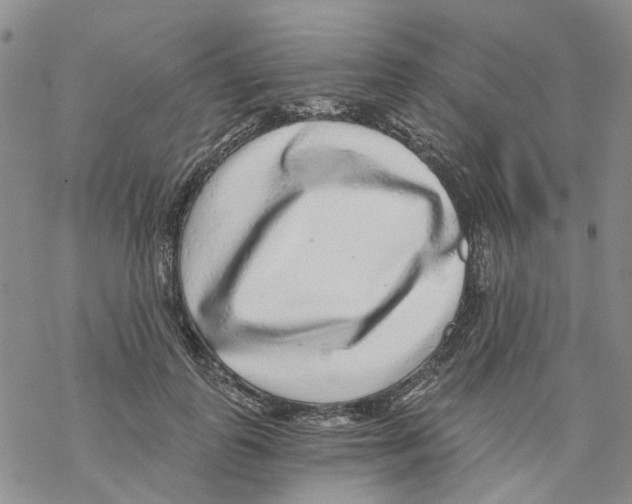 X0000068300747200605191943