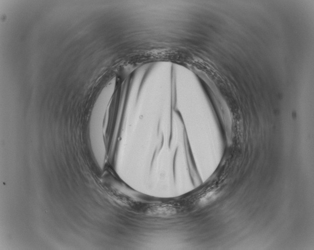 X0000068300750200605191943
