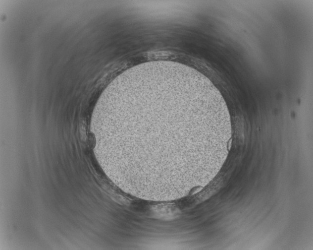 X0000068300761200605191943
