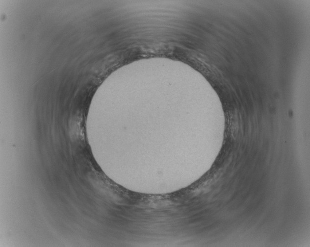 X0000068300770200605191942