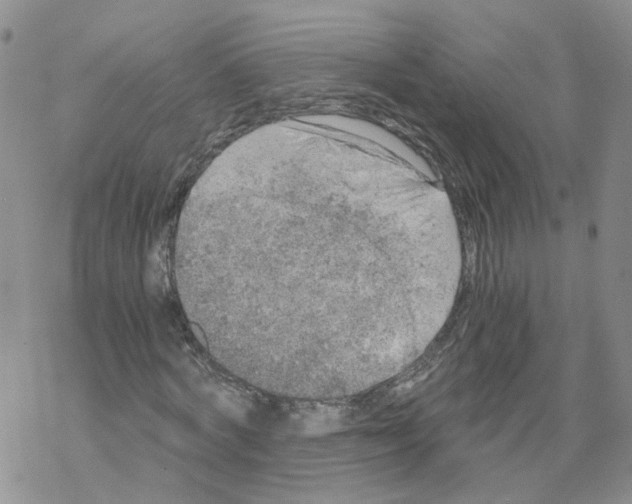 X0000068300772200605191942