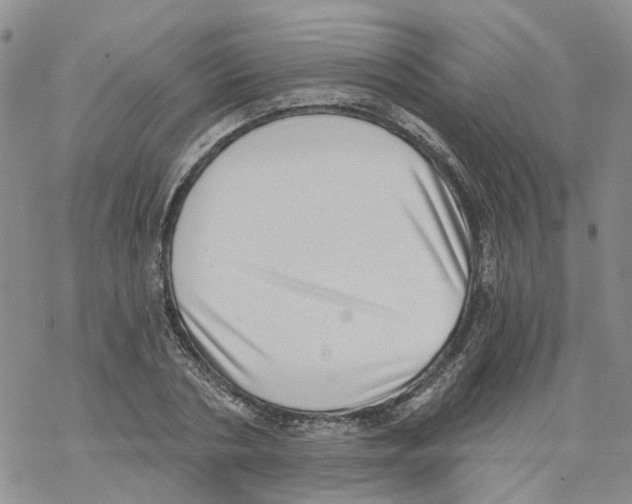 X0000068300786200605191942