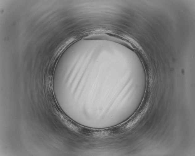 X0000068300793200605191942
