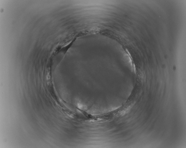 X0000068300818200605191941
