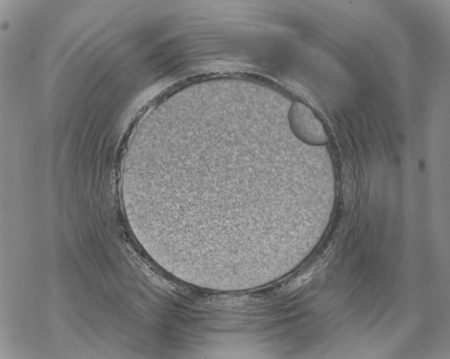 X0000068300831200605191941