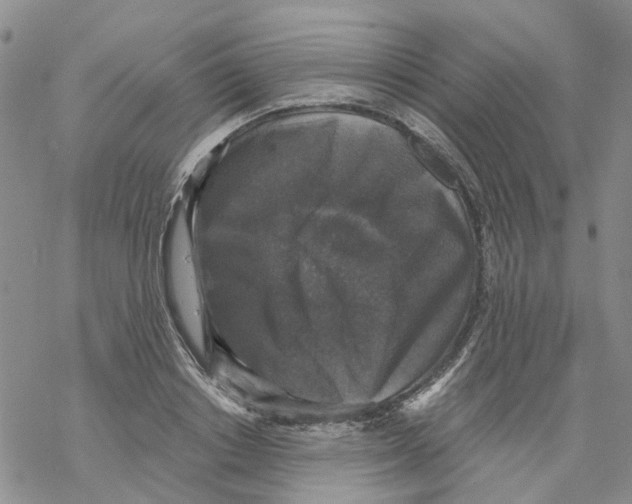X0000068300842200605191941