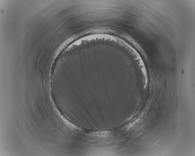 X0000068300853200605191941
