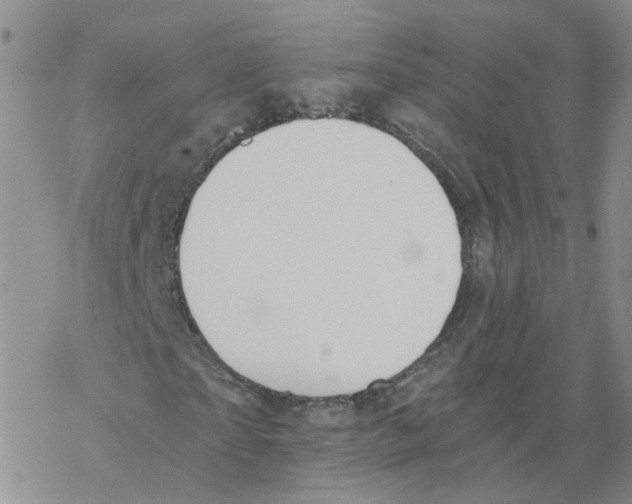 X0000068300865200605191941
