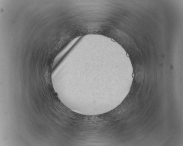X0000068300866200605191941