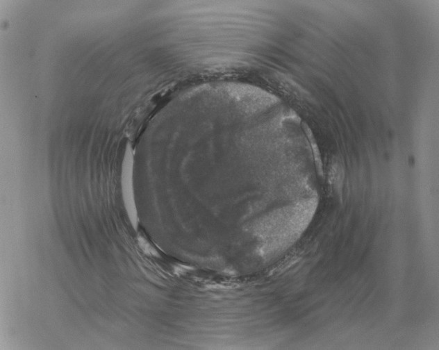 X0000068300868200605191941