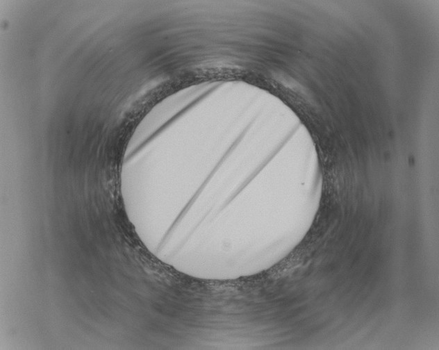 X0000068300870200605191941