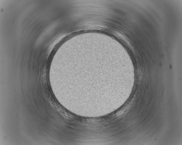 X0000068300875200605191940