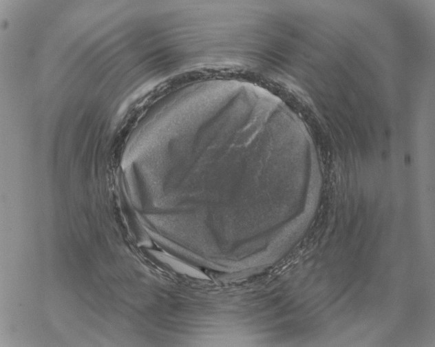 X0000068300920200605191939