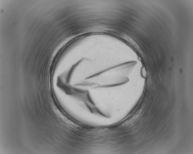 X0000068300939200605191939
