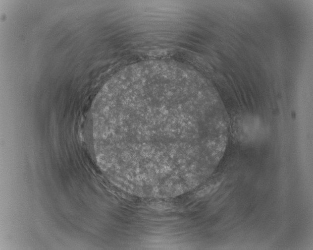 X0000068300962200605191939