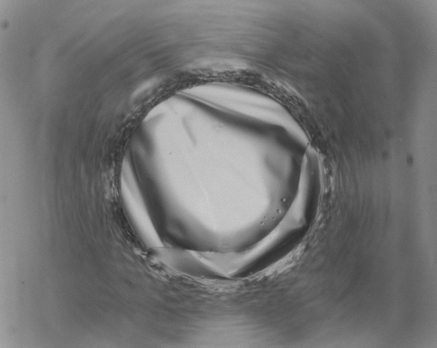 X0000068300965200605191939