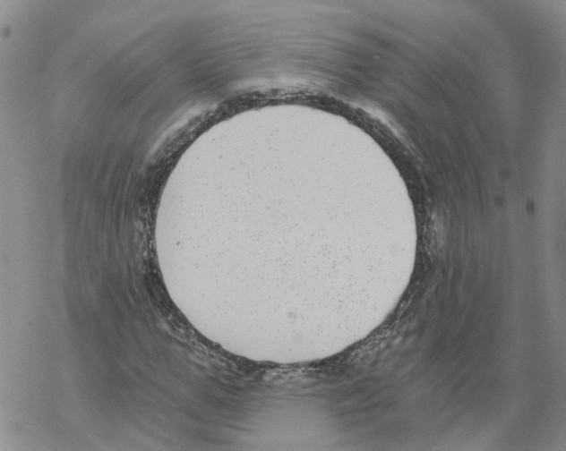 X0000068300967200605191939