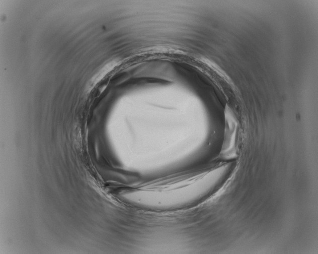 X0000068300969200605191939