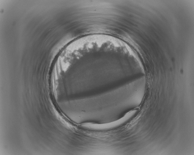 X0000068300995200605191939