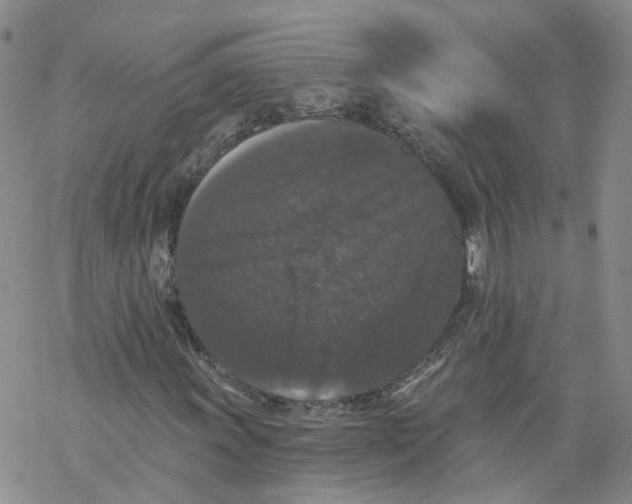 X0000068301011200605191938