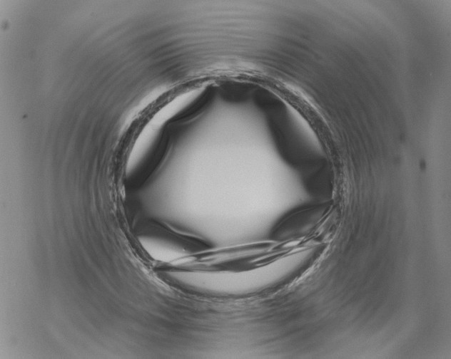 X0000068301018200605191938