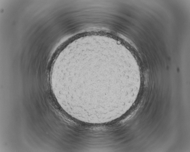 X0000068301021200605191938