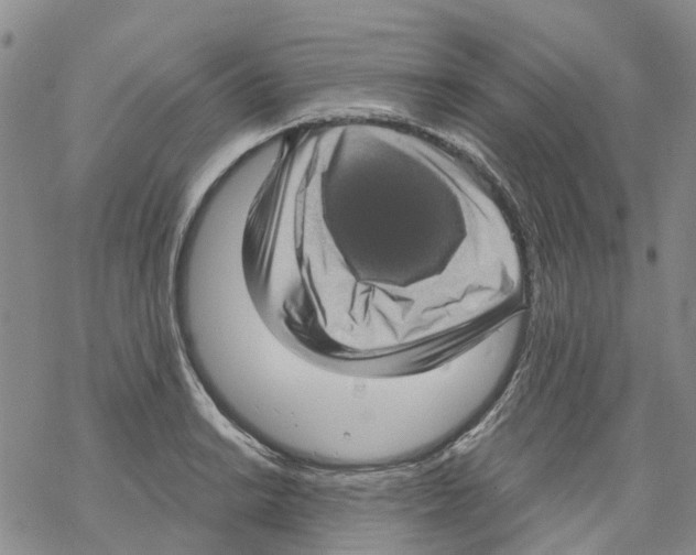 X0000068301038200605191938