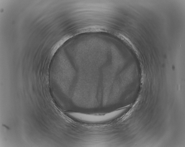 X0000068301081200605191937