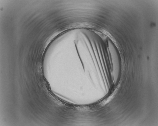 X0000068301089200605191937